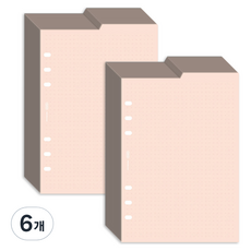 플레픽 6공 양면 인덱스 리필속지 도트 피치, 30개입, 6개