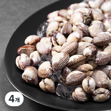 남해안 산지직송 생물 꼬막 (냉장), 2kg, 4개