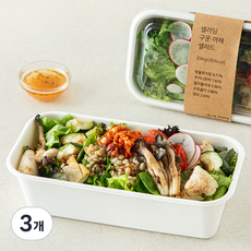 샐러딩 구운야채 샐러드, 256g, 3개