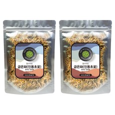 동이약초 금은화 인동초꽃, 150g, 2개