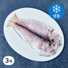 제주어가 손질 백옥돔 옥두어 (냉동), 280g(대), 3개