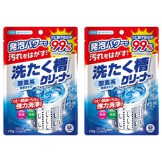 第一石鹼 Laundry Club 洗衣槽清潔劑補充包 強力洗淨除菌消臭 適用不鏽鋼及塑膠內槽, 250g, 2包