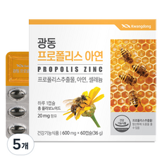광동제약 프로폴리스 아연 36g, 60정, 5개