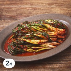 모산김치 매운 실비 파김치, 1kg, 2개