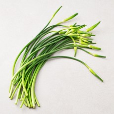 남해 마늘종, 200g, 1개