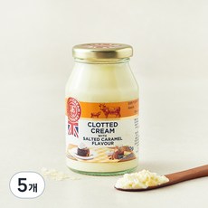 데본크림컴퍼니 솔티드 카라멜 크림, 170g, 5개