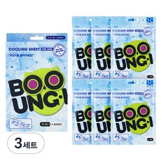 BOOUNG-I 腿部涼感貼 小腿腳底涼感貼片 2片 x 6入 + 固定帶 4入組 210g, 3套