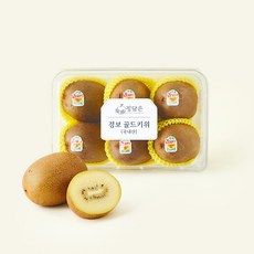 국내산 정담은 점보 골드키위, 1개, 1.1kg