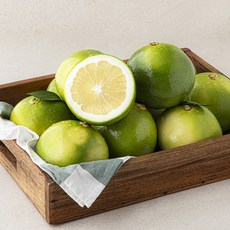 곰곰 메로골드 자몽, 4kg, 1개