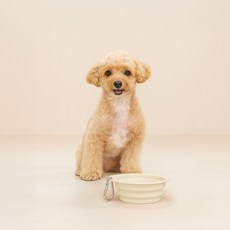 레토 반려동물 휴대용 접이식 실리콘 식기, 아이보리, 1개