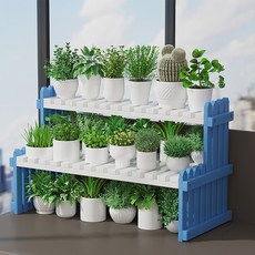 가팡 원목 선인장 다육이 화분랙 04번, 블루, 2단
