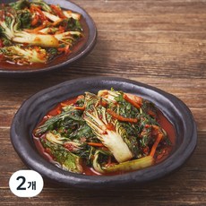 모산김치 갓담근 시원한 보리 얼갈이 김치, 1.5kg, 2개