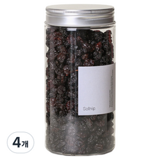 솔닙 플레임 건포도, 4개, 430g