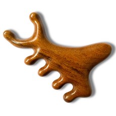 도이뮤 괄사 마시지기 디자인AB, 1개