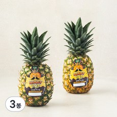 스미후루 감숙왕 허니팟 파인애플 2입, 2.4kg, 3개