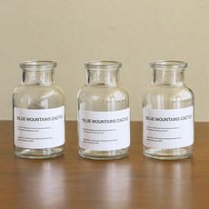 앙플랜트 화병 디퓨저 공용 시약병 125ml 3p, 투명