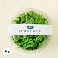 프리미엄 친환경 스마트팜 카이피라, 100g, 5개