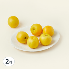 올푸릇 GAP 인증 황귀비유도, 2개, 500g