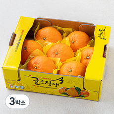 귤로장생 당도선별 레드향, 2kg(중과,6~9입), 3박스