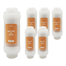 LUDA 維他命C 香氛蓮蓬頭濾芯, 6個, 柚子