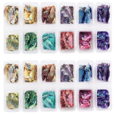 Nail Trend 高級款 貝殼碎片 12種套組 4, 混合顏色, 2個