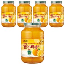 담터 꿀한라봉 액상차, 1kg, 5개