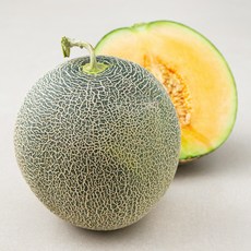 곰곰 속 노란 칸탈로프 메론, 1.2kg, 1개