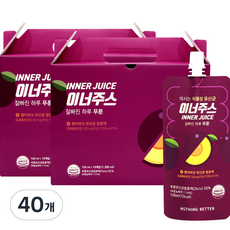 INNER JUICE 乳酸菌李子汁隨身包 10包入, 1.2L, 4盒