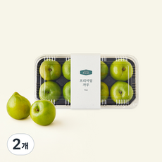 온브릭스 프리미엄 청자두, 2개, 1kg