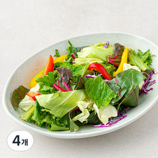 All바른농장 오리지널 패밀리 믹스 샐러드, 350g, 4개