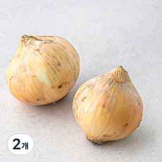친환경 한끼 양파, 400g, 2개