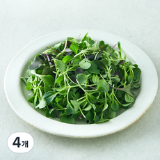 유기농 베이비채소, 4개, 100g