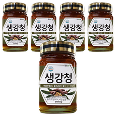 힐링앤팜 생강청, 500g, 1개입, 5개