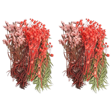 A-ONE 匯旺 乾燥花 2包, 繽紛色彩