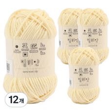 브랜드얀 요즘뜨는 밀키얀 뜨개실, 82 본, 12개