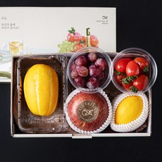 올프레쉬 간편 제철과일 혼합선물 1호, 1세트