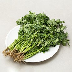 국내산 고수, 300g, 1개