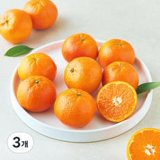 곰곰 미국산 만다린, 700g, 3개
