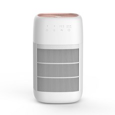 이놀 2in1 미니 공기청정 제습기 650ml, LV110(화이트로즈골드)