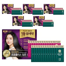 리엔 흑모비책 프로폴리스 담은 크림 염색제 새치용 12회분, 흑색, 6개