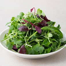 친환경 어린잎 채소, 90g(30gx3봉), 1개