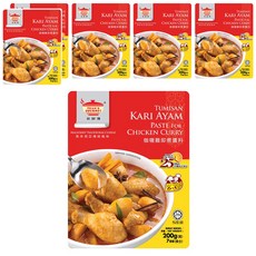 TEAN'S GOURMET 田師傅 咖哩雞叻沙即煮醬料, 200g 馬來西亞傳統風味, 6包
