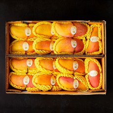 더로얄 마하차녹 망고, 4.7kg, 1개