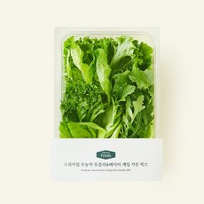 프리미엄 무농약 루꼴라&베이비 케일 가든 믹스, 150g, 1개입, 4개