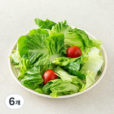 데일리 방울토마토 믹스 파우치 샐러드 채소, 80g, 6개, 1개입