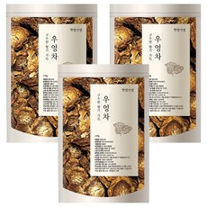 한방선생 볶은 우엉차, 150g, 3개