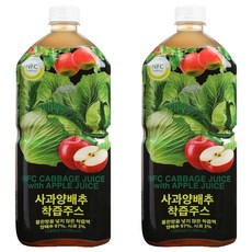 파모빗 사과 양배추 착즙 주스, 1L, 2개