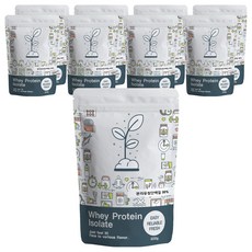 푸른빈 WPI 분리유청단백질 분말 가루, 500g, 9개