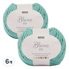 브랜드얀 블랑 뜨개실, 717번 인디민트, 6개