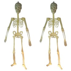 야광 해골 장식, 2개